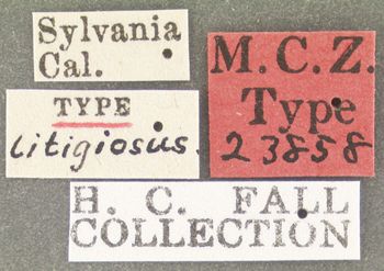 Media type: image;   Entomology 23858 Aspect: labels